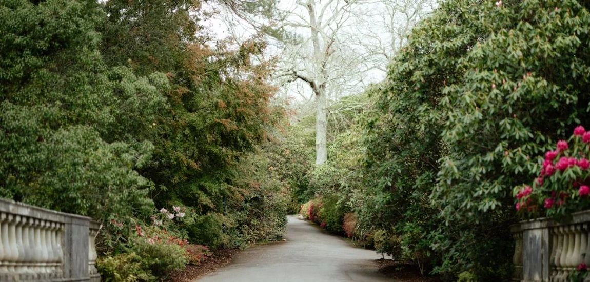 Weekend Getaways in Owensville: Relax, Recharge & Explore
